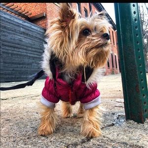 Meet your Posher, Tamara a.